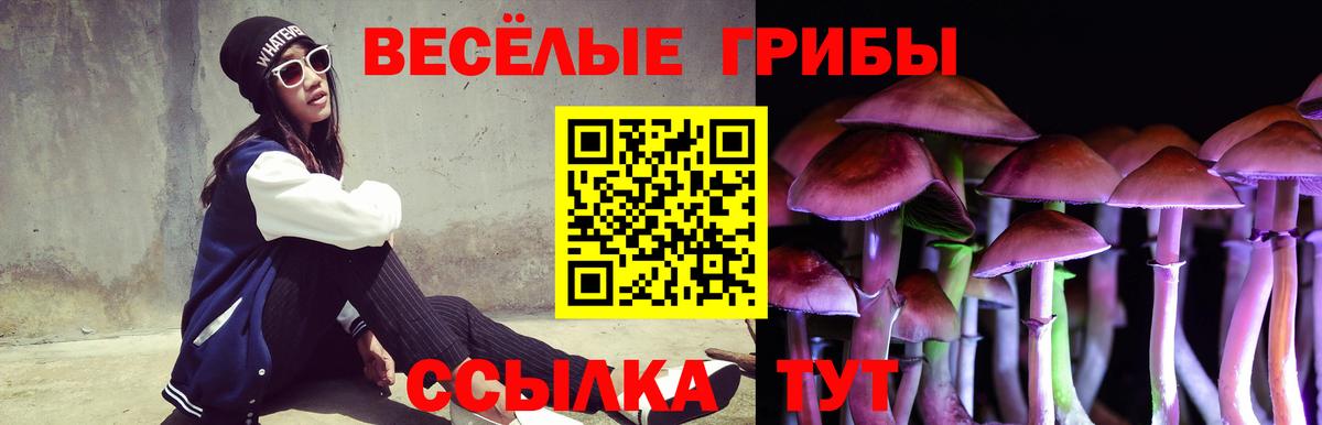 Альметьевск  Галлюциногенные грибы Psilocybe  Галлюциногенные грибы GOLDEN TEACHER  магазин продажи   Вход с VPN 